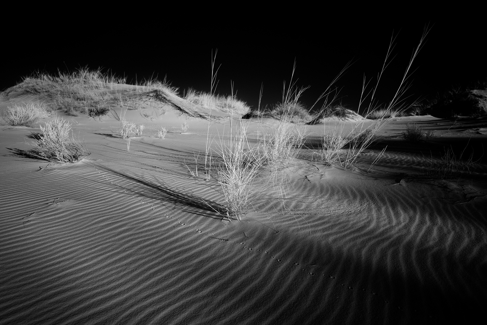 Witsand Dunes 10 6695ddbc ef74 4004 88bf bb5ccc656f5e